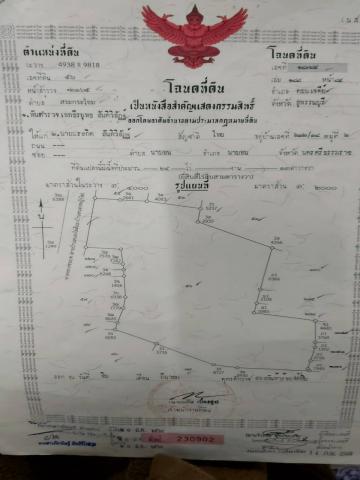 ขายที่ดินถมแล้ว ติดถนนทางหลวง 3015 เนื้อที่ดิน 24 ไร่ 13 ตร.วา อ.ดอนเจดีย์  สุพรรณบุรี