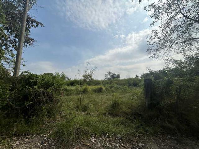 ขายที่ดิน โครงการนาวิน ปาร์ค อำเภอคลองหลวง จังหวัดปทุมธานี (เจ้าของขายเอง)