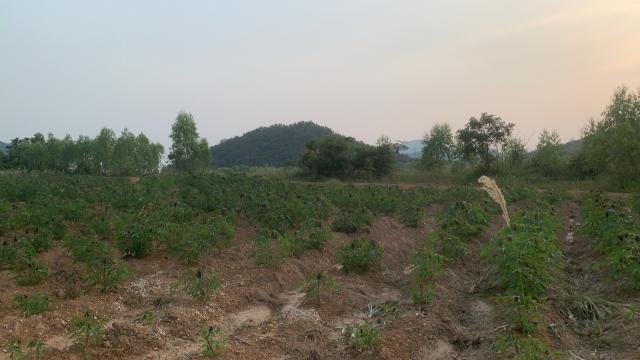 ขายที่ดินเปล่า เหมาะสำหรับทำการเกษตร จ.ราชบุรี 