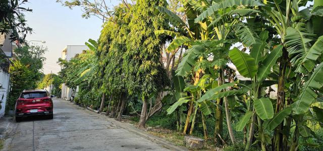ขายด่วน ที่ดินเปล่า ทำเลทอง สวย ราคาถูกกว่าตลาด ขนาด 56 ตร.ว.   ซ.สุขุมวิท 101 (ปุณณวิถี51)  