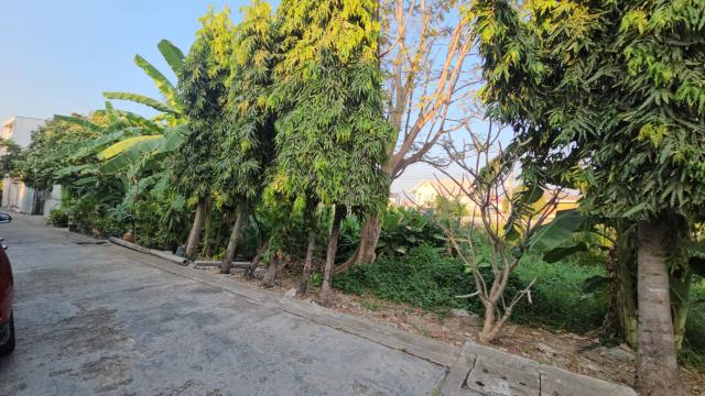 ขายด่วน ที่ดินเปล่า ทำเลทอง สวย ราคาถูกกว่าตลาด ขนาด 56 ตร.ว.   ซ.สุขุมวิท 101 (ปุณณวิถี51)  