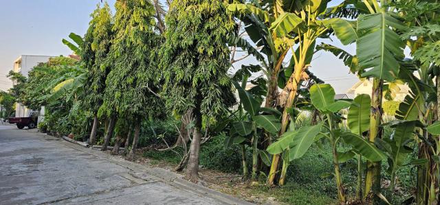 ขายด่วน ที่ดินเปล่า ทำเลทอง สวย ราคาถูกกว่าตลาด ขนาด 56 ตร.ว.   ซ.สุขุมวิท 101 (ปุณณวิถี51)  