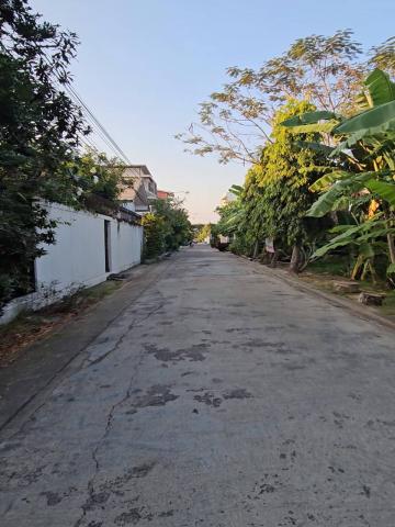 ขายด่วน ที่ดินเปล่า ทำเลทอง สวย ราคาถูกกว่าตลาด ขนาด 56 ตร.ว.   ซ.สุขุมวิท 101 (ปุณณวิถี51)  