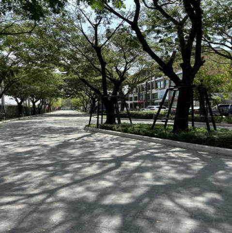 ขายบ้านกลางเมือง ดิ อิดิชั่น บางนา-วงแหวน บ้านแฝด 3ชั้น