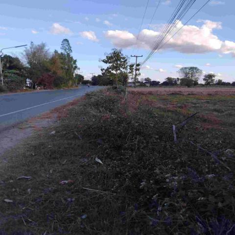 ขายที่ดินเปล่า จ.ขอนแก่น 5 ไร่ 3 งาน 48ตรว. ติดถนนหลัก อ.โนนศิลา จ.ขอนแก่น