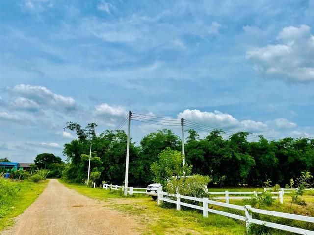 แบ่งขาย ที่ดิน ปากคลอง13 ต.บึงน้ำรักษ์ อ.ธัญบุรี จ.ปทุมธานี เหมาะเป็นที่อยู่อาศัย บ้านพักยามเกษียณ