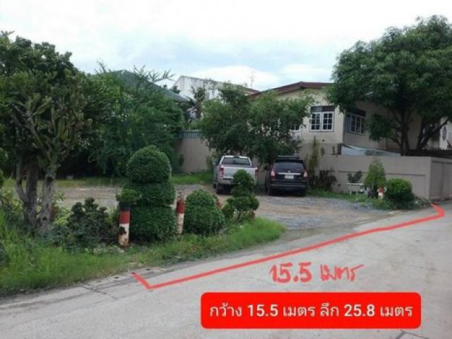 ขายที่ดินถนนนวมินทร์ซอย59 ขายถูกขายต่ำกว่าตลาด เนื้อที่100ตารางวา นวมินทร์ 59 แยก 4-1 แขวงนวมินทร์ เขตบึงกุ่ม กรุงเทพมหานคร 10230