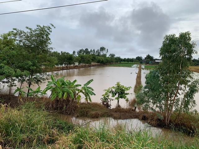 ขายที่นา ขนาดพื้นที่ 3 - 2 – 50.5 ไร่ ติดทางหลวงถนนสิงหวัฒน์ก่อนถึงแยกคลองเมม อ.พรหมพิราม จ.พิษณุโลก 