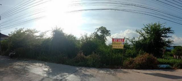 ขายที่ดินรูปแปลงสวย  587 ตารางวา ประชาอุทิศ 90 แยก 2  ใกล้ตลาดประชาอุทิศ90  ทุ่งครุ  ZTK081