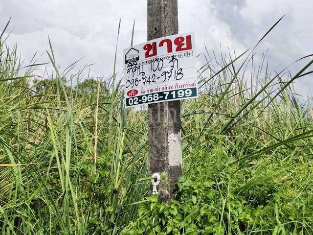 ที่ดินเปล่า 100 ตร.ว. คลอง 5 คลองหลวง - ปทุมธานี  ราคาถูก