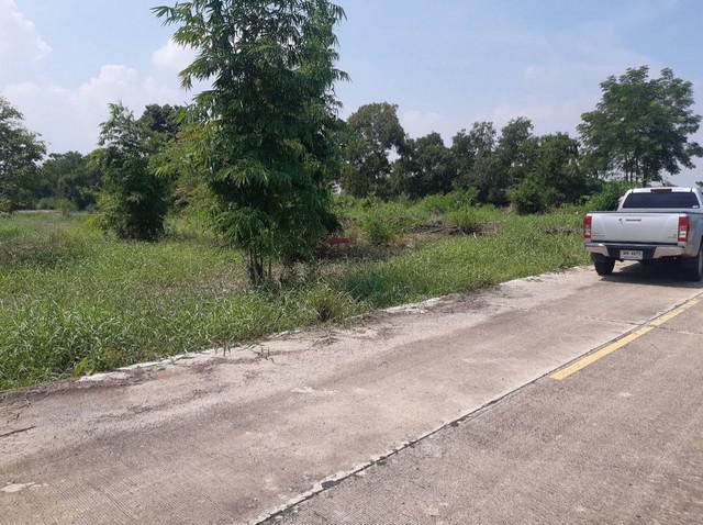 ขายที่ดิน 2 ไร่ สามารถออกแบบและสร้างบ้านได้ตามต้องการ ตำบล คลองห้า  อำเภอ:คลองหลวง •จังหวัด ปทุมธานี