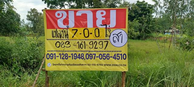 ขายที่นาราคาถูก   7-0-0  ไร่  บ้านโนนสวรรค์ ต.แดงใหญ่ อ.เมือง จ.ขอนแก่น  ZE723