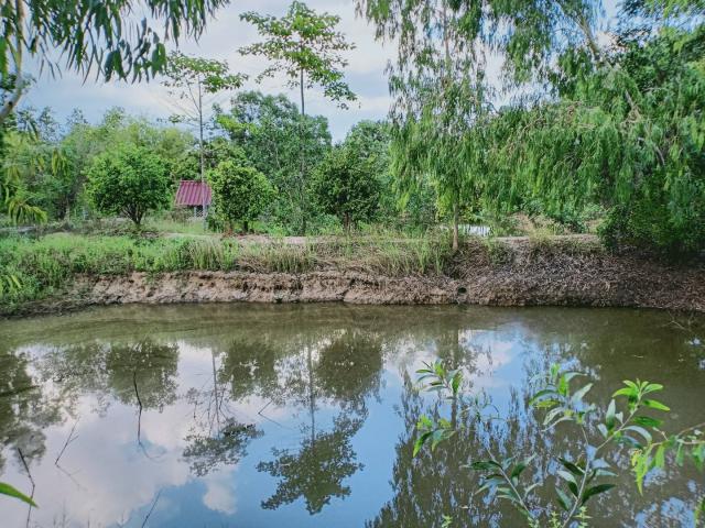 ขายที่ดินตัวเมืองชัยภูมิ ที่สวย บรรยากาศดี อำเภอเมือง จังหวัดชัยภูมิ