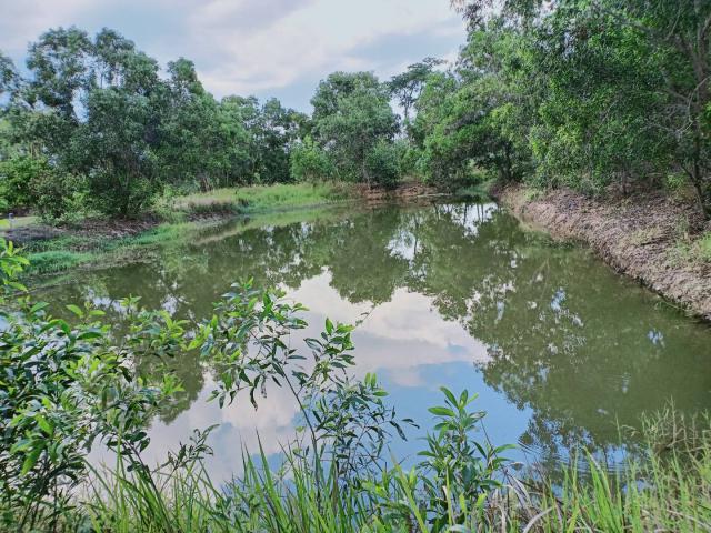 ขายที่ดินตัวเมืองชัยภูมิ ที่สวย บรรยากาศดี อำเภอเมือง จังหวัดชัยภูมิ