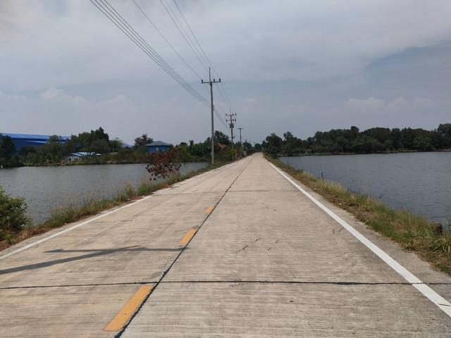 ขายที่ดิน 2 ไร่  ตำบลพันท้ายนรสิงห์ อำเภอเมืองสมุทรสาคร สมุทรสาคร