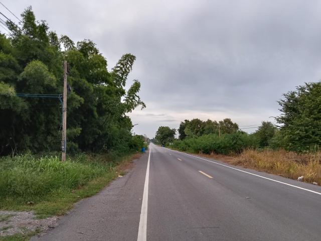 ขายที่ดินเปล่าทำเลดี ที่ดิน  20 ไร่ ต.พัฒนานิคม อ.พัฒนานิคม จ.ลพบุรี