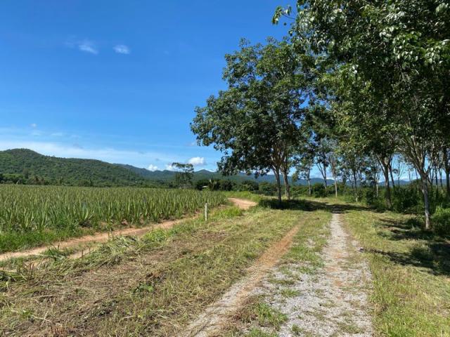 ขายที่ดินเปล่า  วิวเขา 360 องศา ทำเลทอง  อำเภอหัวหิน จังหวัดประจวบคีรีขันธ์