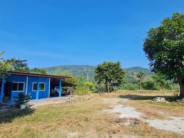 ขายที่ดิน พร้อมบ้านสวน บางพระ ห้วยกุ่ม-เขาไม้แดง วิวธรรมชาติ TP-L0945