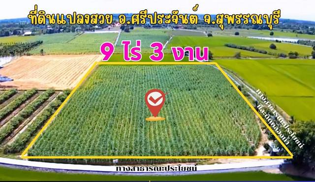 ที่ดินสวย 9 ไร่ 3 งาน 5.3 ตารางวา ต.ดอนปรู อ.ศรีประจันต์ จ.สุพรรณบุรี 