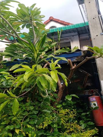 BS943 ขายด่วน! ทาวน์เฮ้าส์ 2 ชั้น หมู่บ้านมิตรภาพ 2 ปากเกร็ด-วัดกู้ ราคาถูก ลดภาระ 2ห้องนอน 2ห้องน้ำ ใกล้โรงเรียนสวนกุหลาบ นนทบุรี