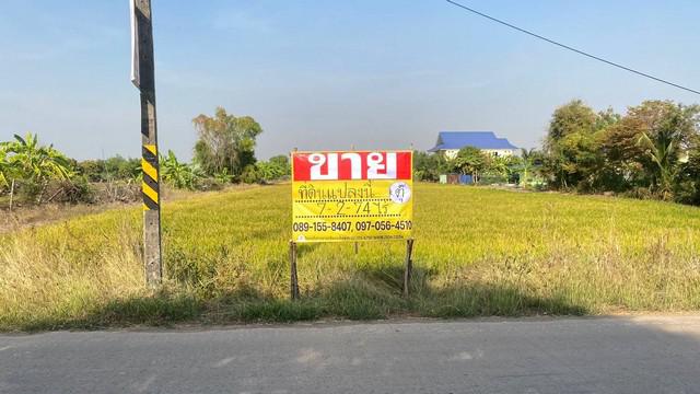 ขายด่วนที่ดินสวย  7-2-74 ไร่ ใกล้วัดสว่างอารมณ์  ศาลาแดง ซ.8 บางน้ำเปรี้ยว ฉะเชิงเทรา   ZT644 