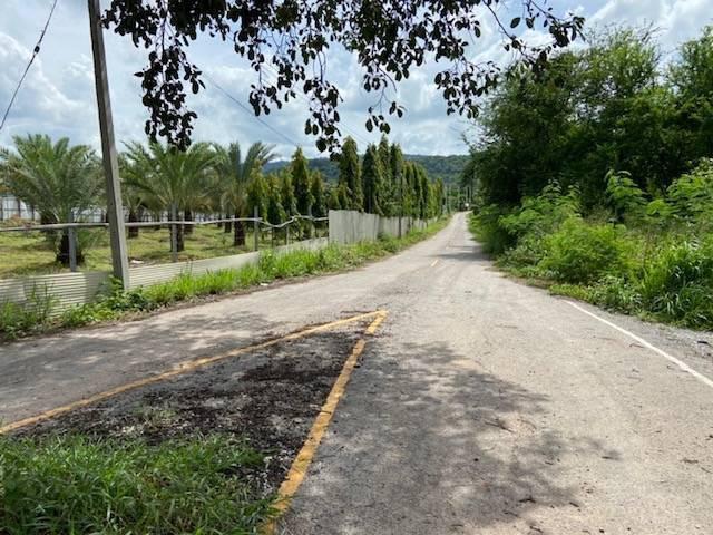 ขาย ที่ดิน 5 ไร่ อำเภอ เทพสถิต ชัยภูมิ ใกล้อุทยานป่าหินงามทุ่งดอกกระเจียว