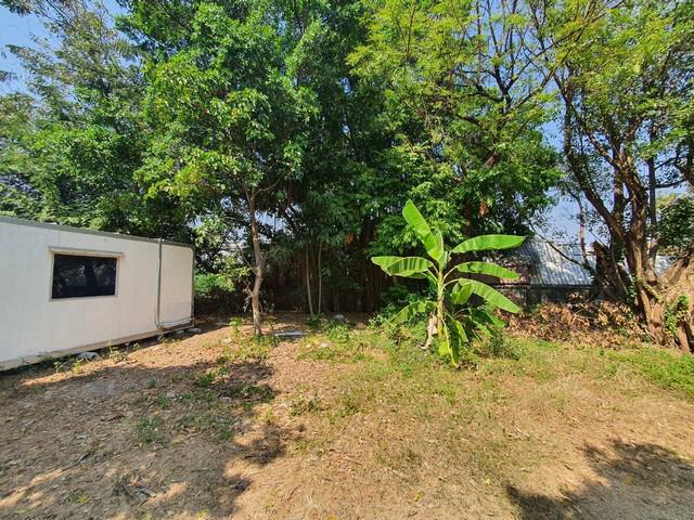 รหัส:  land24022568 RENT ให้เช่า ที่ดิน - พื้นที่ 0 RAI 3 งาน 0 ตร.วา  40000 - พร้อมให้คุณได้จับจอง