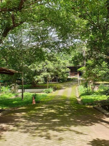 สวยสงบ ร่มเย็น​สุดๆ #โซนแม่ริม 17.5 ล้าน 7-1-89 ตรว. ร่มรื่น ด้วยต้นไม้ขนาดใหญ่ พร้อมด้วย อาคารบ้านพัก 5-6 หลัง น้ำ ไฟ พร้อม