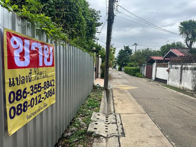 ขายที่ดิน 98 ตารางวา  ซอยนาคนิวาส21แยก 2-1 ลาดพร้าว  กรุงเทพ    ZT598 