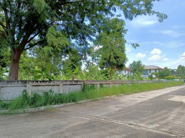 ขาย ที่ดิน ที่ดินแปลงมุม ติดถนน 3 ด้าน หมู่บ้านชวนชื่นกอล์ฟอเวนิว 1 ไร่ 62 ตร.วา