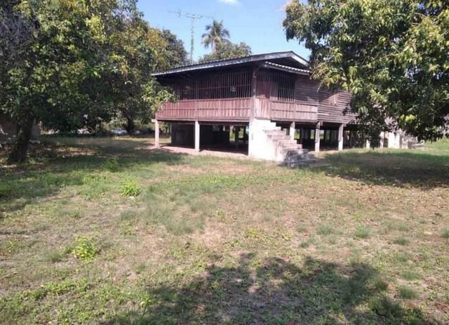 ขายที่ดินบ้านสวน ชลบุรี ที่ดิน พร้อมบ้านไม้ บ้านสวน-เศรษฐกิจ 30 TP-L1056
