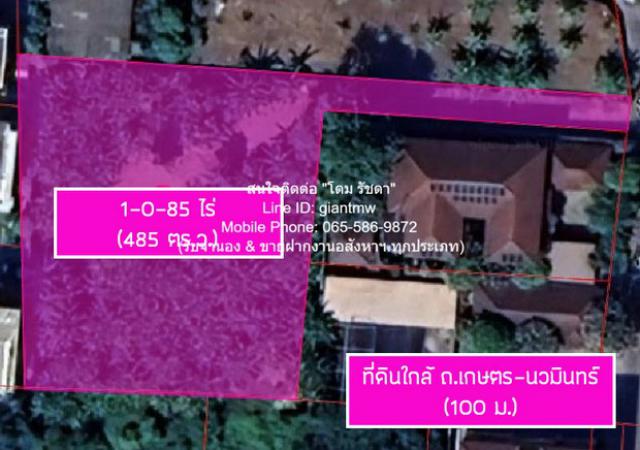 ที่ดิน ขายที่ดินเปล่า 1-0-85 ไร่ (485 ตร.ว.) ใกล้ถนนประเสริฐมนูกิจ (ถนนเกษตร-นวมินทร์) ราคา 72,750,000 บาท (150,000 บาท/ตร.ว.)  72750000 THB  85 ตาราง.วา 0 ngan 1 RAI ใกล้ ถนนประเสริฐมนูกิจ (ถนนเกษตร-นวมินทร์) และโรงเรียนสตรีวิทยา 2 Special Stock