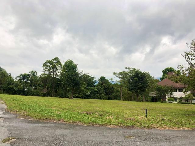 ขายที่ดิน 470ตร.ว.ในสนามกอล์ฟเซอร์เจมส์คันทรีคลับ Forest Hill ฟรีเมมเบอร์กอล์ฟตลอดชีพด้วย 