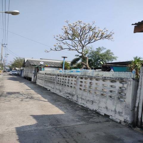 ขายบ้าน ซอย บ้านลำภู  ใกล้ทะเล ชลบุรี,สวนสมเด็จ,ศาลากลางจังหวัดชลบุรี,ตลาดโต้รุ่ง,หน้าศาลชลบุรี,สะพาน ชลมาศวิถี,ตลาดประมงท่าเรือพลี