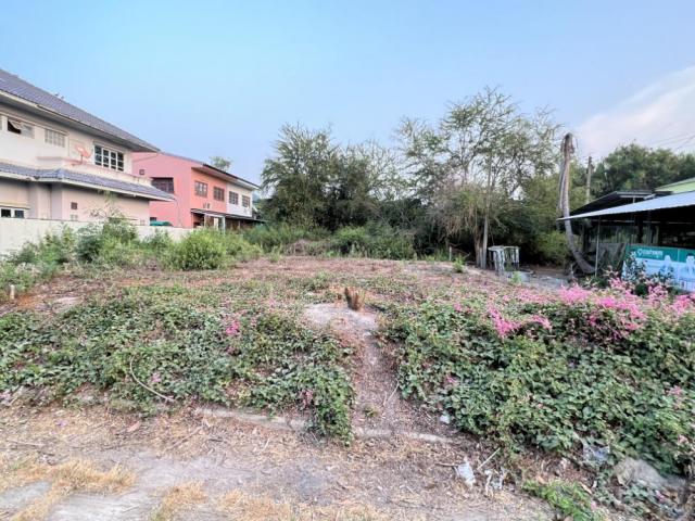 ขายที่ดินในตัวเมืองสามารถเปิดเป็นร้านสะดวกซื้อ / อยู่ตรงข้ามสนามกีฬาจังหวัด(สนามกีฬาดอนคาน) จังหวัดเพชรบุรี