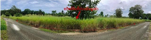 ขายที่ดินว่างเปล่า โครงการสนามกอล์ฟพัทยาคันทรีคลับ ตำบลเขาไม้แก้ว อำเภอบางละมุง ชลบุรี