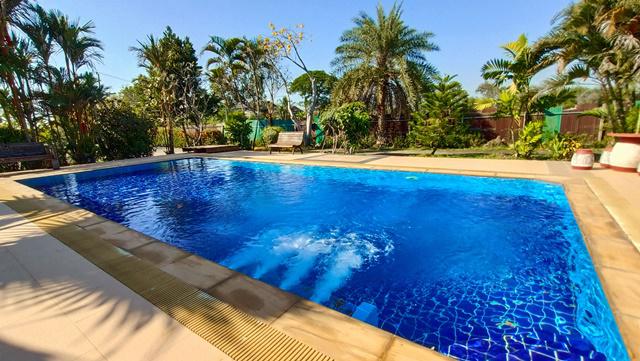 พลูวิลล่า Wellness Senior Complex ลำลูกกา-คลอง12 สระว่ายน้ำใส 8หลัง  เวลเนส  3.5ไร่ 5,600ตรม.