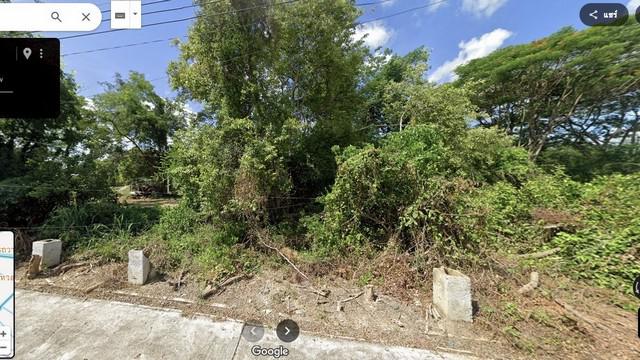 ขายที่ดิน 93 วา  อำเภอหางดง จ.เชียงใหม่ แยกเส้นบ้านถวายออกมาประมาณ 300 เมตร
