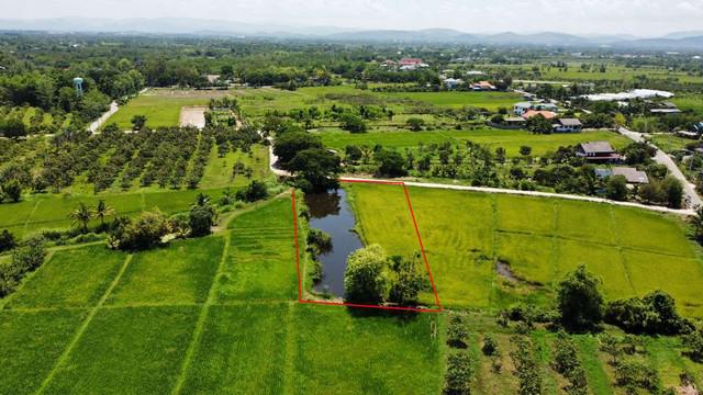 ขายที่ดินแปลงสวยมีสระน้ำ ติดวิวทุ่งนา พิกัดลำพูนบรรยากาศดีขายราคาถูกในเขตชุมชน