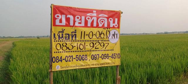 ขายที่นาราคาถูก ใกล้ชุมชน  11-0-06 ไร่  หลังวัดป่าเรไร  บ้านกร่าง ต.บ้านกร่าง อ.เมือง จ.พิษณุโลก   ZK439