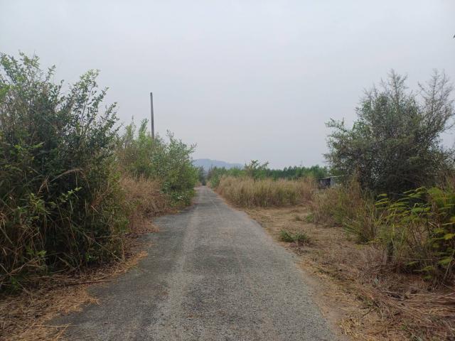 ขายที่ดินจัดสรร ทำเลดี  ตำบลหนองอิรุณ อำเภอบ้านบึง จังหวัดชลบุรี 