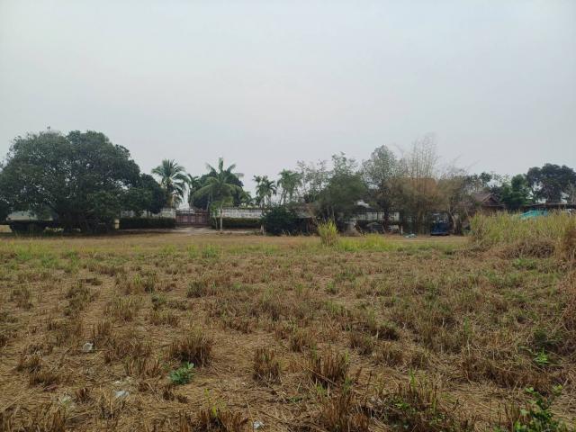ขายที่ดินจัดสรร ทำเลดี  ตำบลหนองอิรุณ อำเภอบ้านบึง จังหวัดชลบุรี 