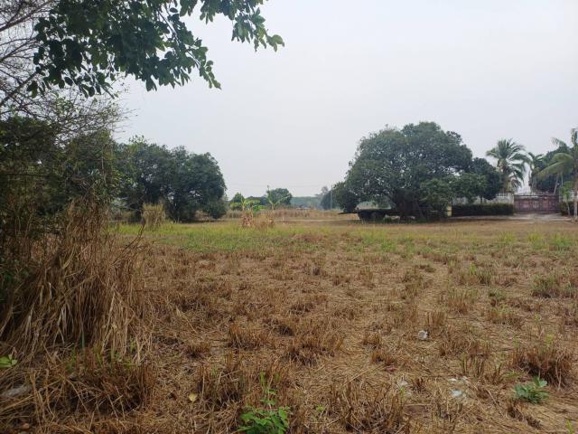 ขายที่ดินจัดสรร ทำเลดี  ตำบลหนองอิรุณ อำเภอบ้านบึง จังหวัดชลบุรี 