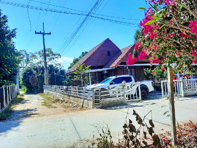 เทศบาลเมืองแม่โจ้ แม่ริม 2 นอน  ให้เช่าบ้านเดี่ยว 1 ชั้น  หลังมุม 62ตร.วา.242ตร.ม. ตลาดแม่ริมพลาซ่า 3 กม