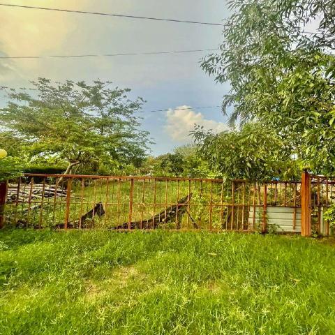 ขาย ที่ดิน หนองเสือ คลอง14 251ตร.วา. รีบใช้เงิน วัดประสิทธิเวช 4.2 กม.ติดถนนสาธารณะ ลาดยางแล้ว ตลาดธนกิจ หนองเสือ 5กม. ปทุมธานี