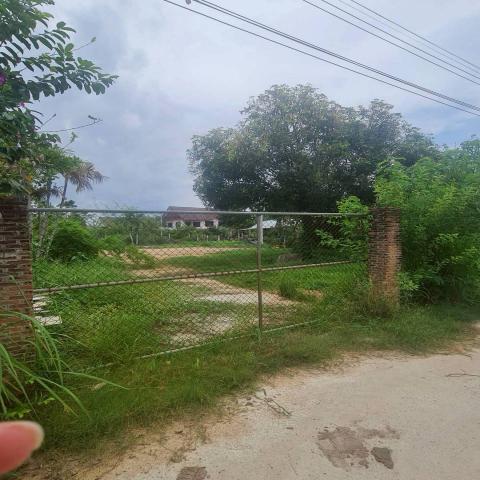 ขายที่ดิน พัทยาห้วยใหญ่ ขนาด 200 วา พร้อมใบอนุญาตสร้างพูลวิลล่า ติดต่อผึ้งรติ0619419639