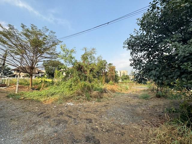 ขายที่ดินเปล่า 314 ตร.วา ใจกลางปากเกร็ด ใกล้ MRT สายชมพู แปลงสวย เข้าออกหลายทาง