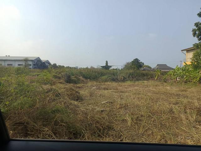 ขายที่ดินเฉลิมพระเกียรติ ร.9 ซอย 30 แยก 14 แขวงดอกไม้ เขตประเวศ ราคาดีมาก