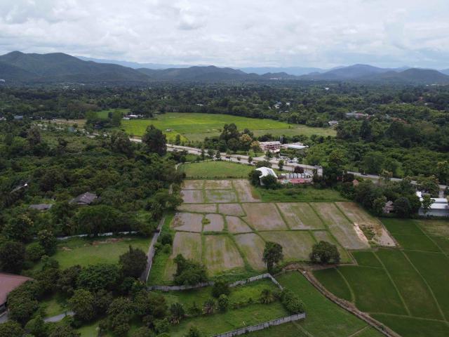 ขายที่ดินในเชียงใหม่ หน้ากว้าง 100 เมตร ติดถนนเชียงใหม่ดอยสะเก็ต