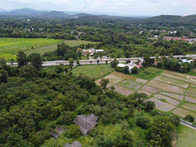 ขายที่ดินในเชียงใหม่ หน้ากว้าง 100 เมตร ติดถนนเชียงใหม่ดอยสะเก็ต